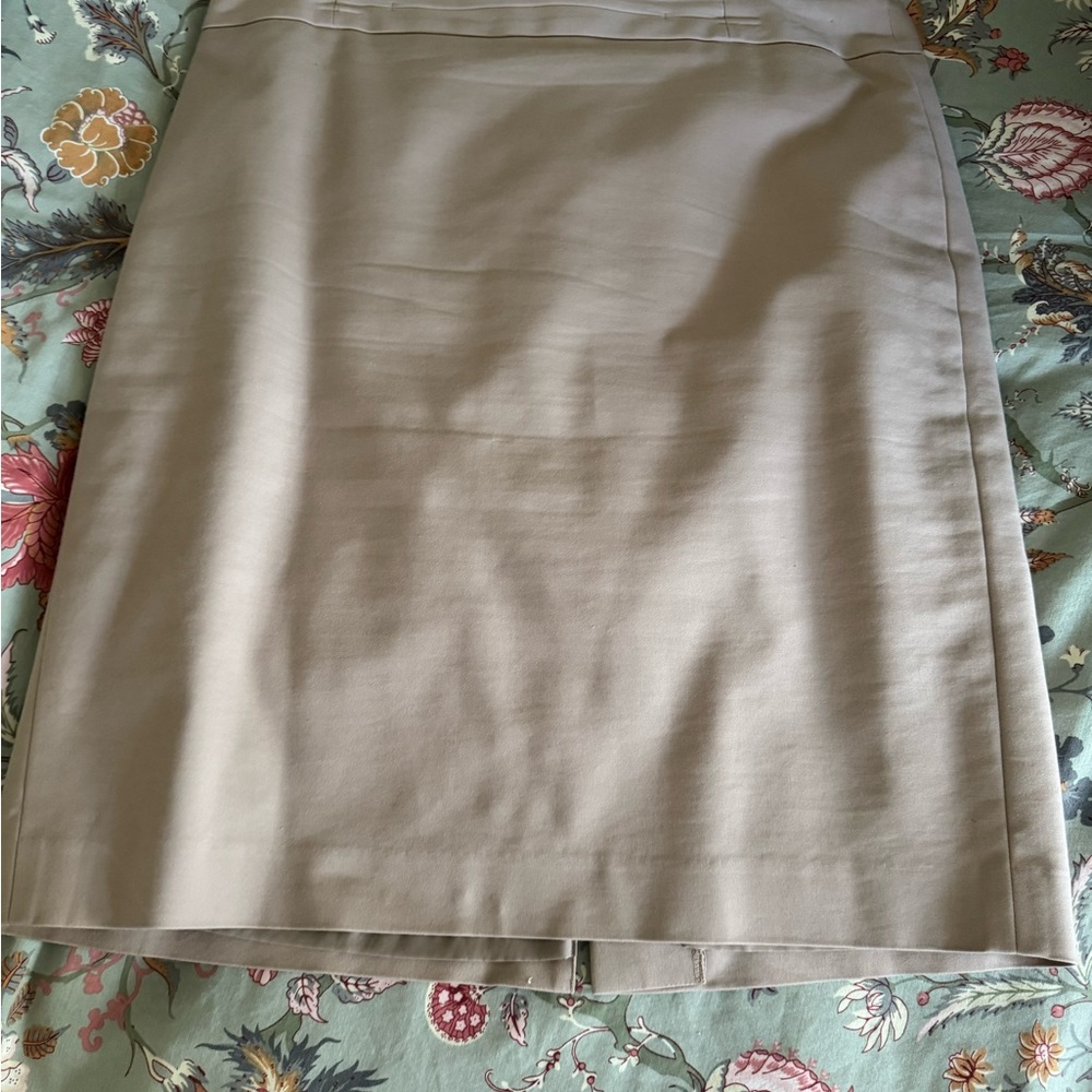 Ann Taylor Tan Skirt